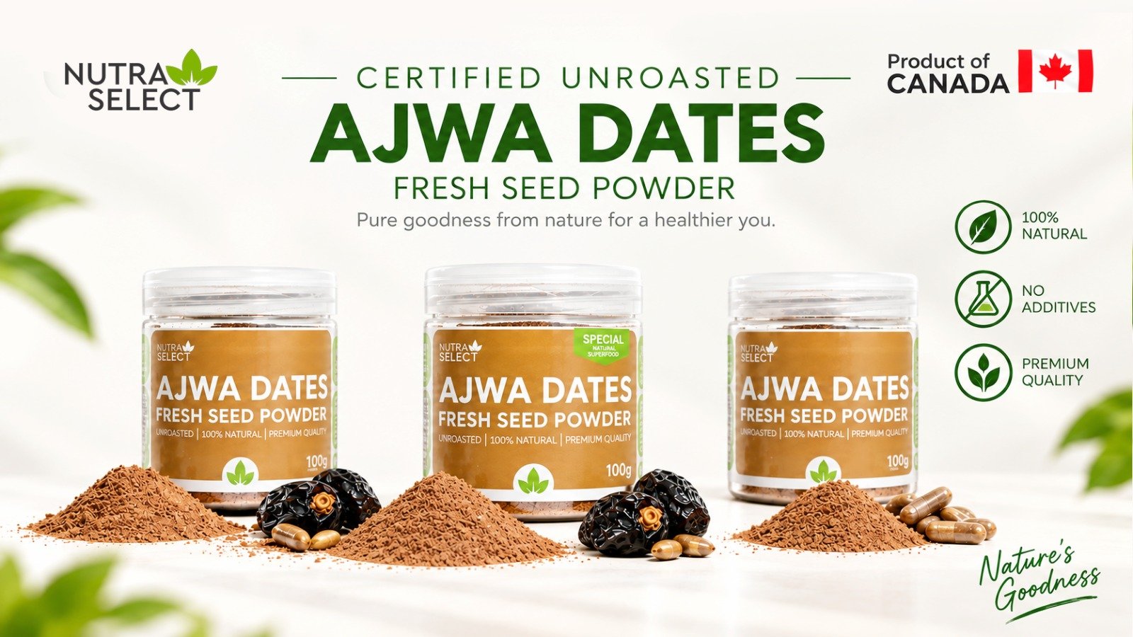 Nutra Select Ajwa Dates